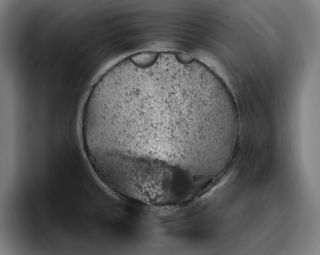 X0000096701429200802191439