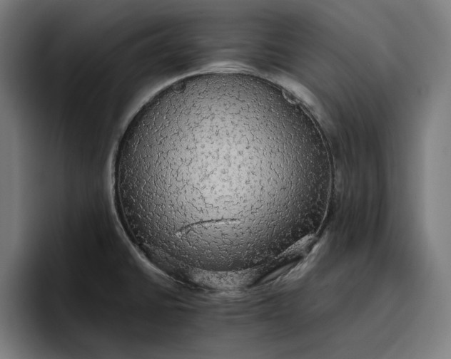 X0000096701430200802191439