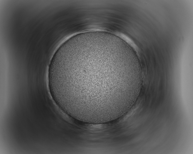 X0000096701431200802191439