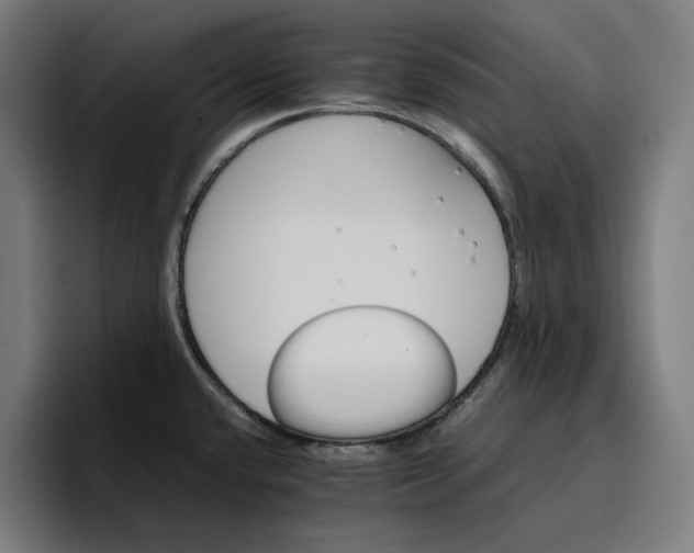 X0000096701432200802191439