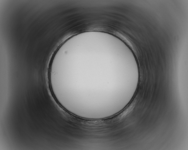 X0000096701434200802191439