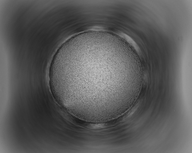 X0000096701435200802191439