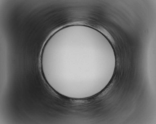 X0000096701436200802191439