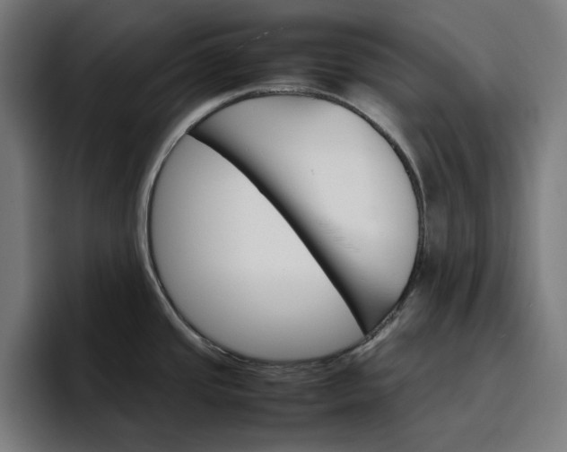 X0000096701437200802191439
