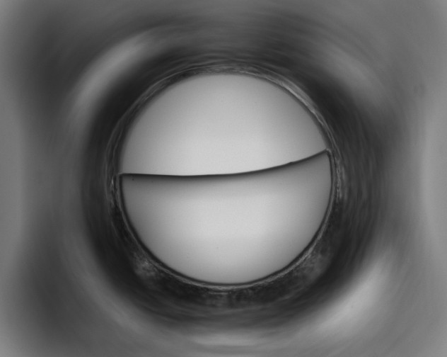 X0000096701438200802191439
