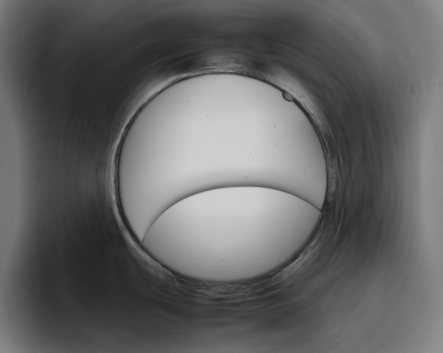 X0000096701439200802191439