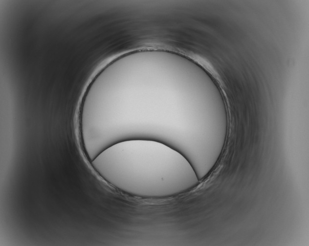 X0000096701440200802191439