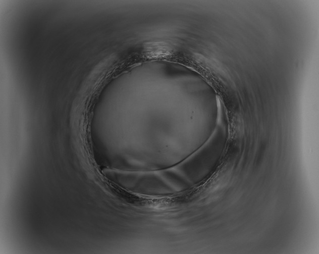 X0000096701441200802191439