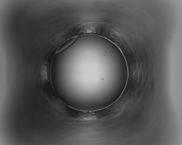 X0000096701442200802191439