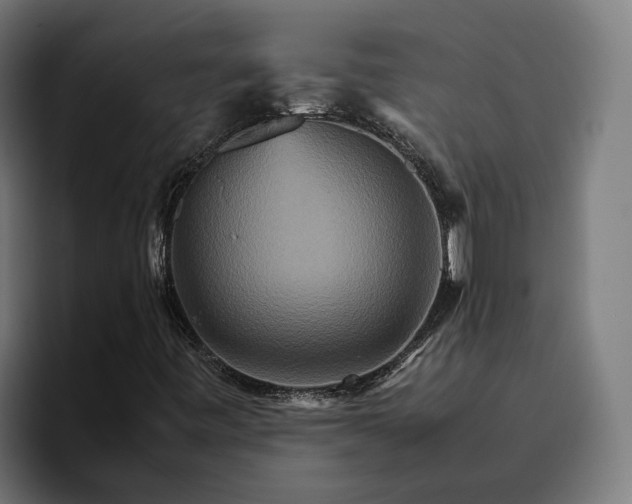 X0000096701443200802191439