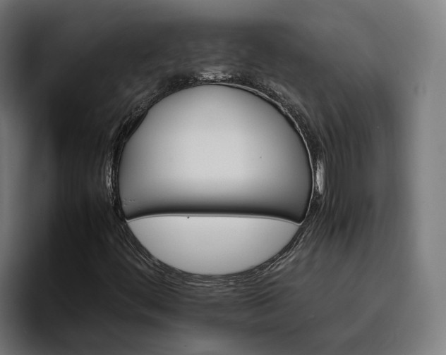 X0000096701444200802191439