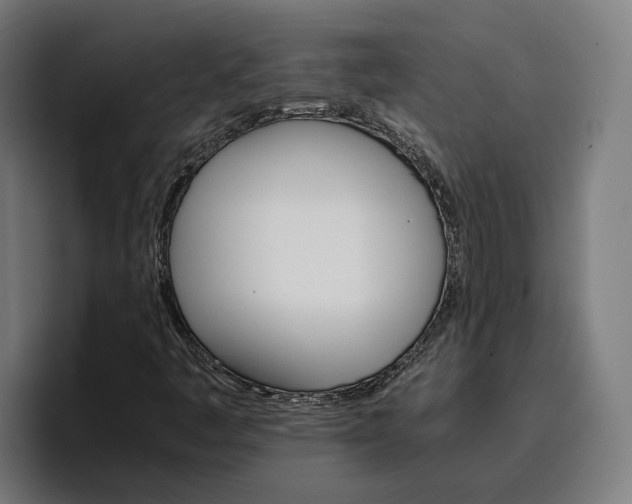 X0000096701445200802191439