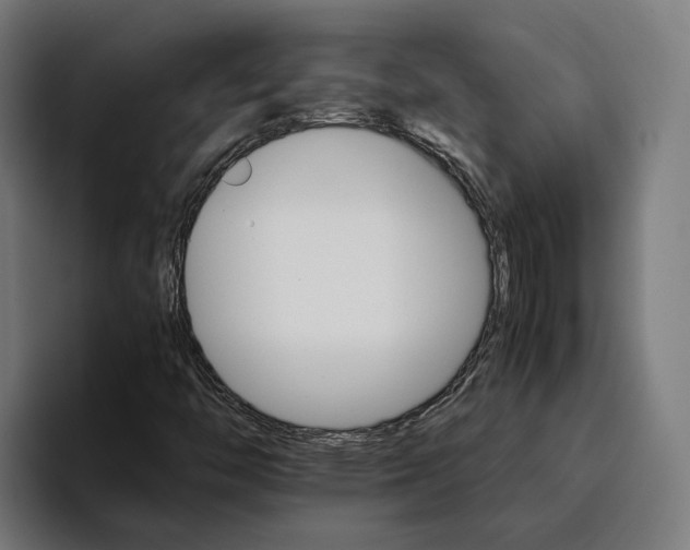 X0000096701446200802191439