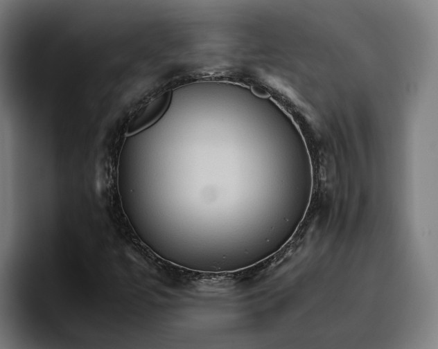 X0000096701447200802191439