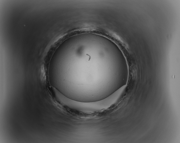 X0000096701448200802191439