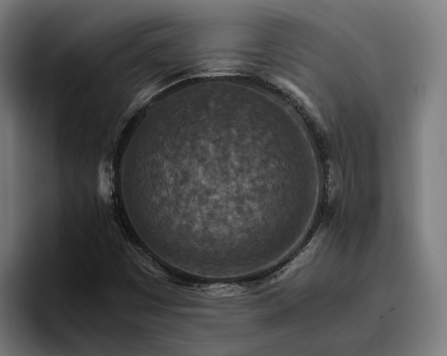 X0000096701449200802191439