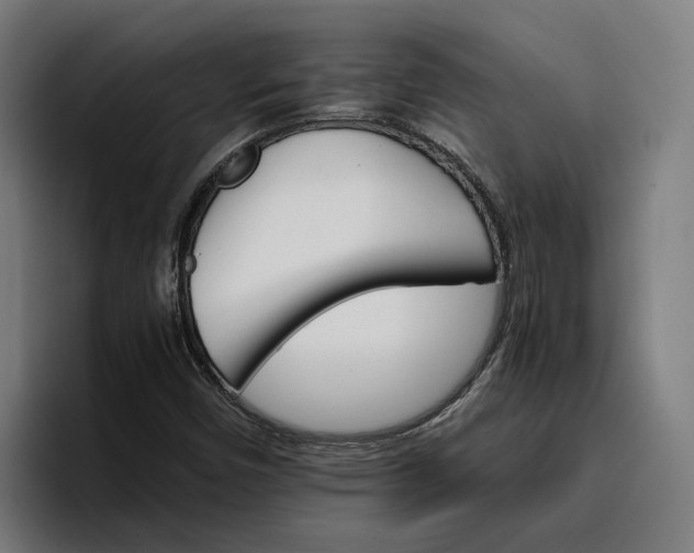 X0000096701450200802191439