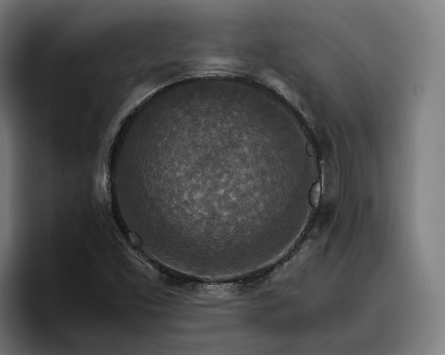 X0000096701453200802191438