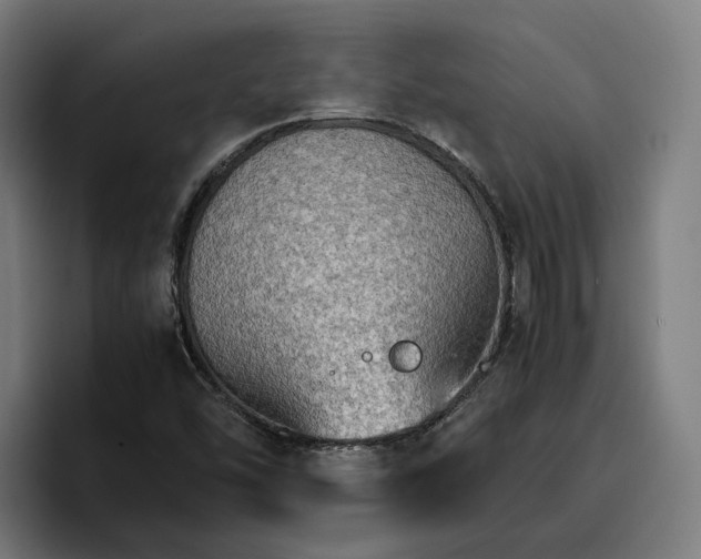 X0000096701454200802191438