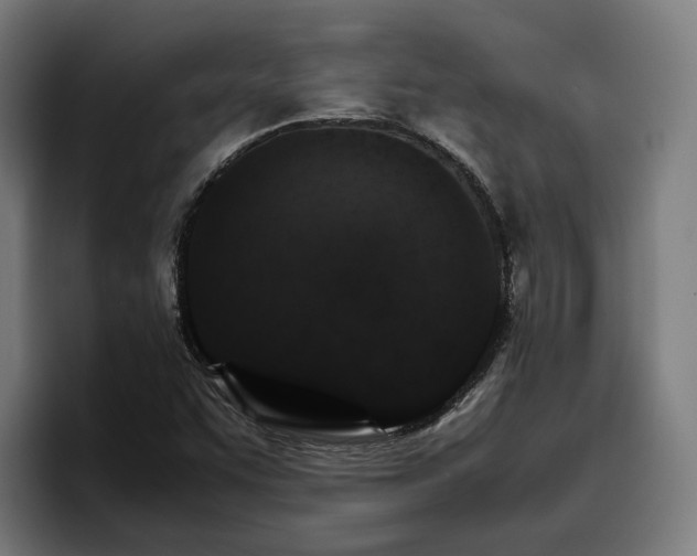 X0000096701455200802191438