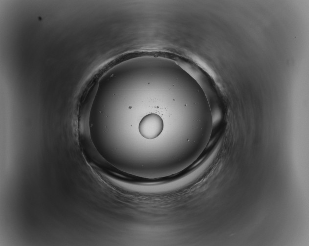 X0000096701456200802191438