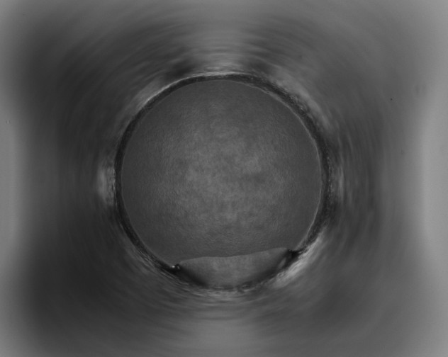 X0000096701457200802191438
