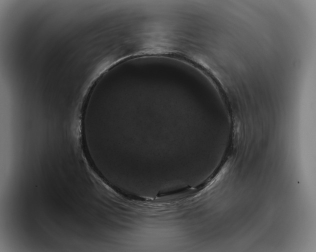 X0000096701459200802191438