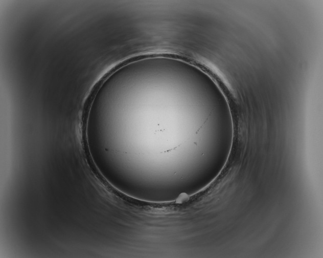 X0000096701460200802191438