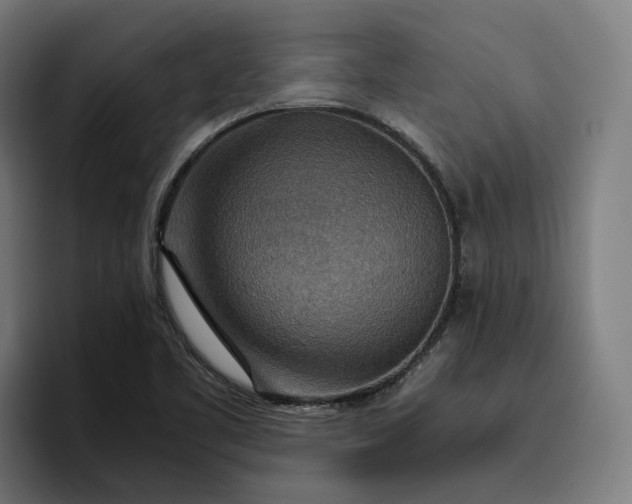 X0000096701461200802191438