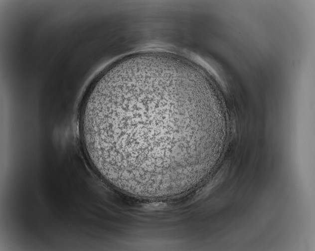 X0000096701462200802191438