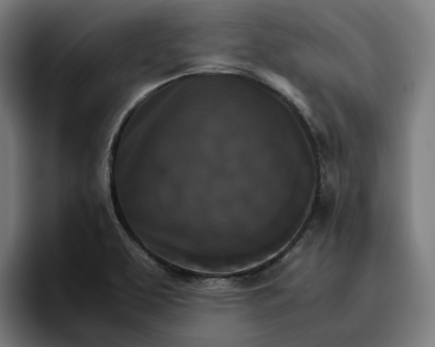 X0000096701463200802191438