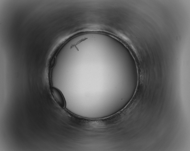 X0000096701464200802191438