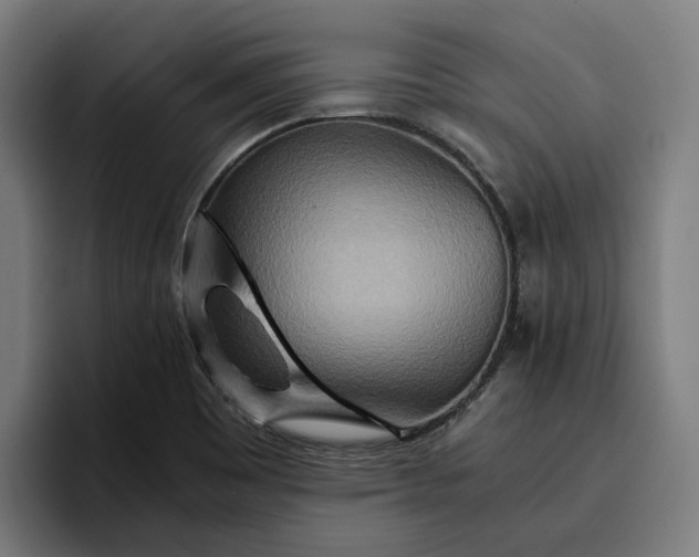 X0000096701465200802191438