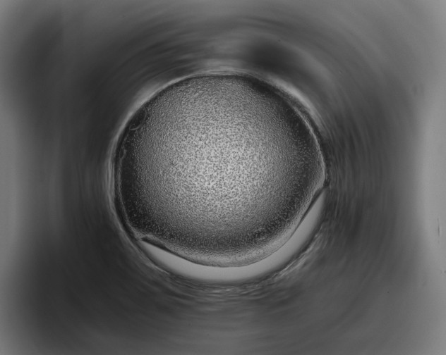 X0000096701467200802191438