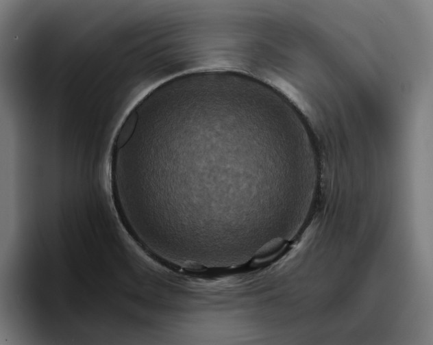 X0000096701468200802191438