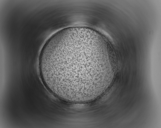 X0000096701470200802191438