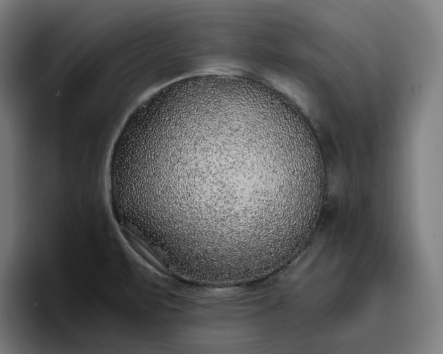 X0000096701471200802191438