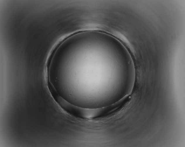 X0000096701472200802191438