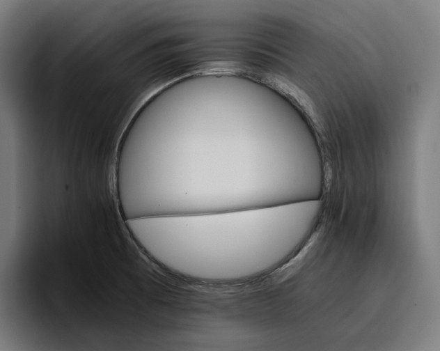 X0000096701473200802191438