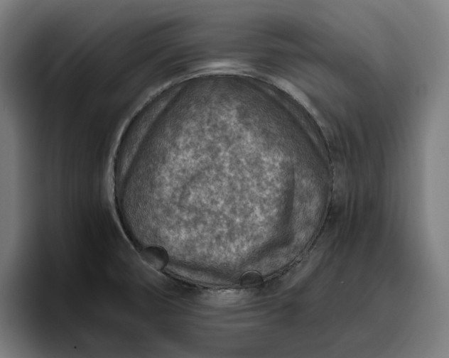 X0000096701474200802191438