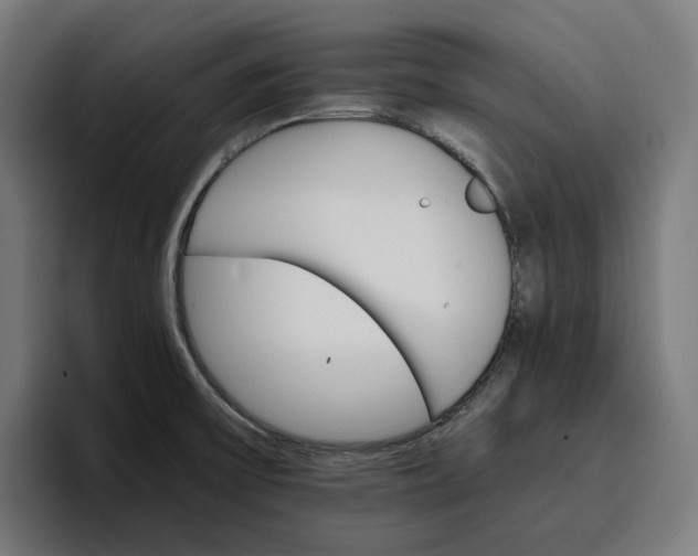 X0000096701475200802191438