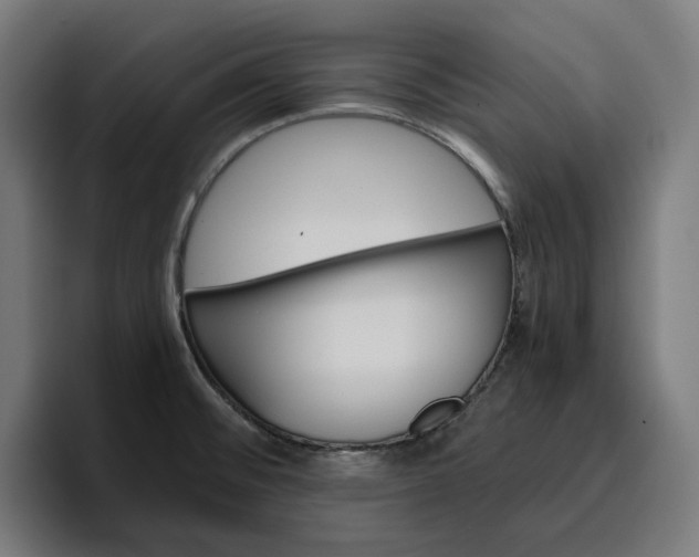 X0000096701476200802191438