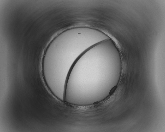 X0000096701477200802191438