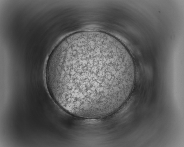 X0000096701478200802191438