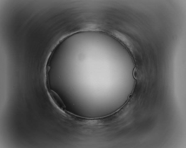 X0000096701479200802191438