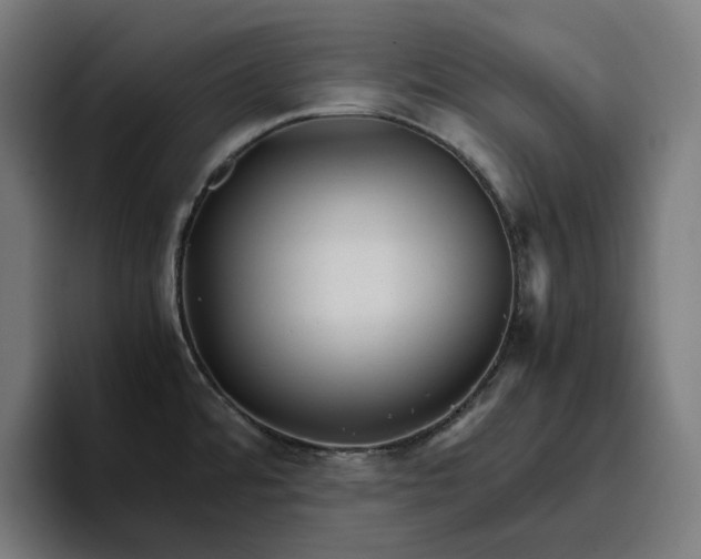 X0000096701480200802191438