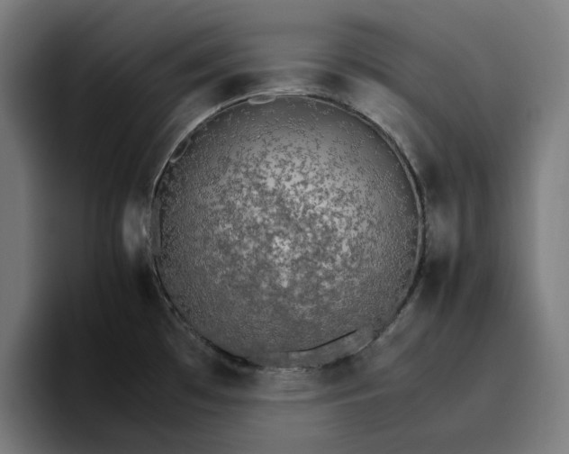 X0000096701481200802191438