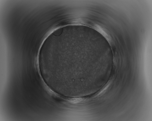 X0000096701482200802191438