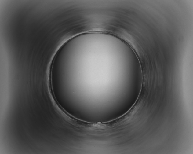 X0000096701483200802191438