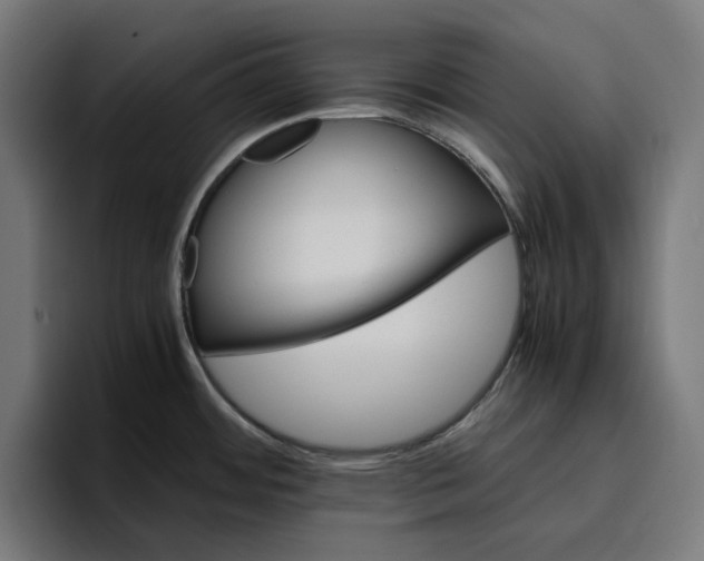 X0000096701484200802191438
